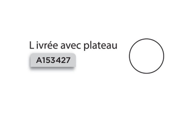 Ponceuse orbitale électrique Ø 75